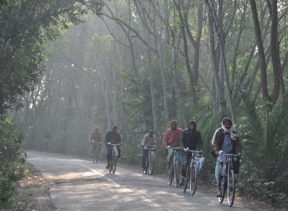 People ride bicycle in a cold morning at Lahinipara, Kumarkhali, Kushtia on 30 December 2019. Photo: Touhidi Hasan
