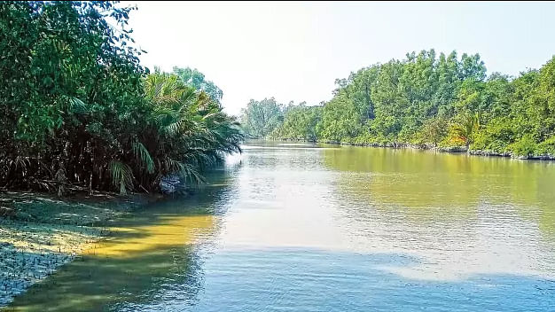 The Sundarbans has faced the least harm so far. Despite various adverse conditions, trees have increased in the Sundarbans. This photo was taken from Sarankhola upazila of Bagerhat on 29 December. Photo: Shishir Moral