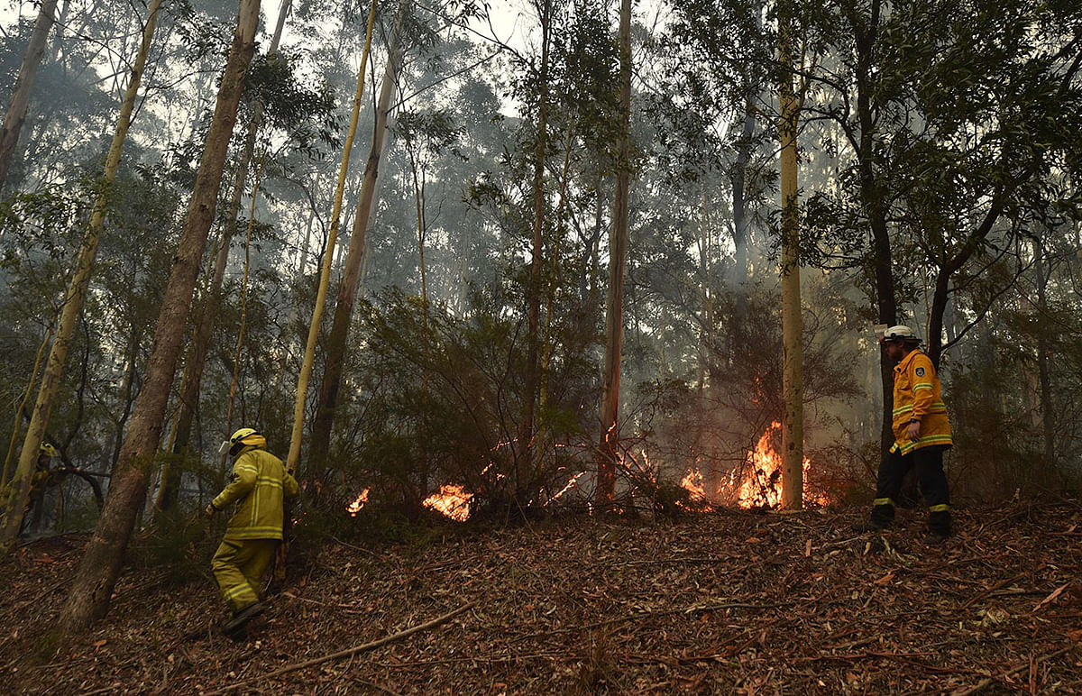 Firefighters tackle a a bushfire south of Nowra on 5 January, 2020. Photo: AFP