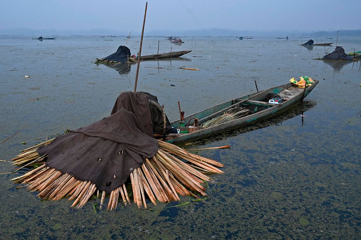 Fishermen catch fish with harpoons near a frozen portion of Anchar Lake in the outskirts of Srinagar on 2 January 2020. Photo: AFP