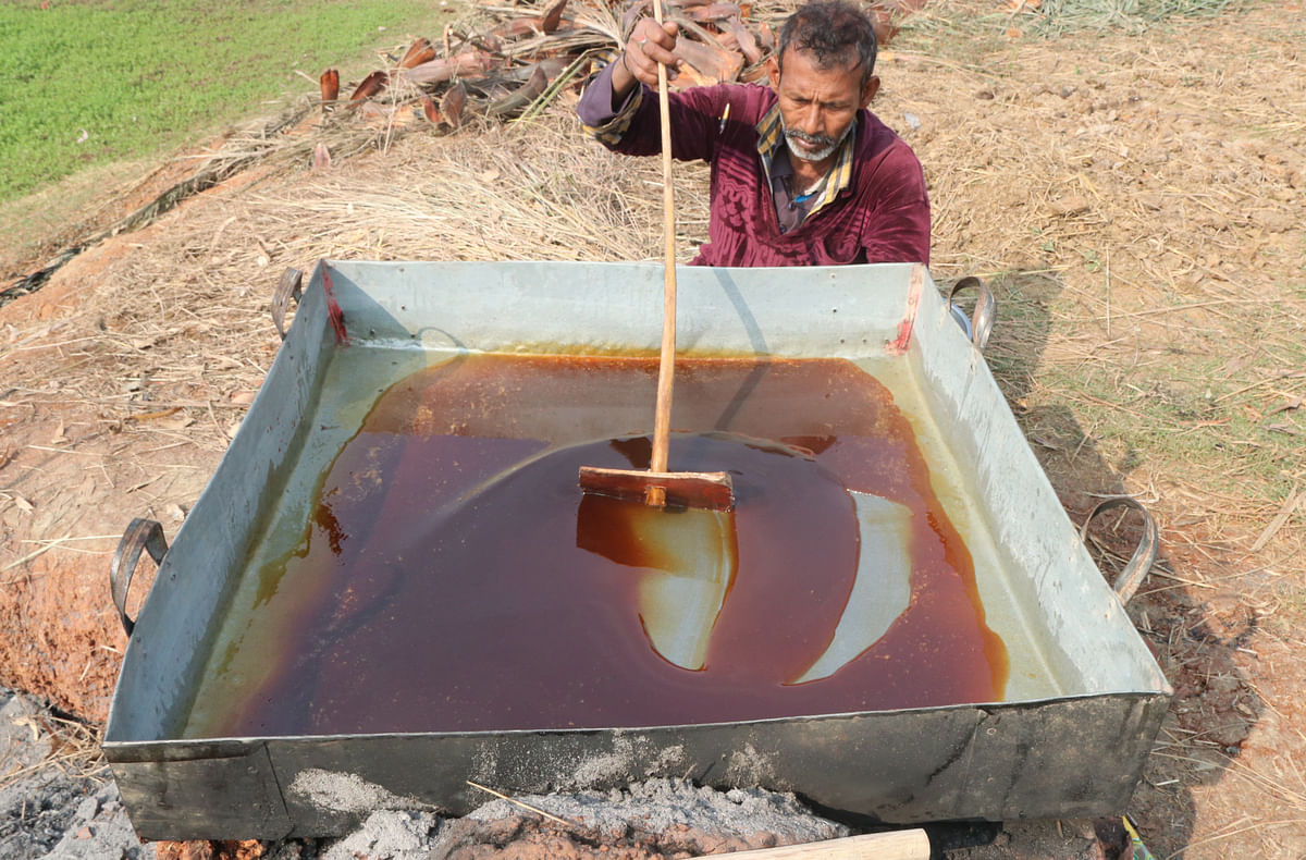 A man makes molasses with date palm sap at Chawk Valley, Shajahanpur in Bogura on 8 January 2019. Photo: Soel Rana