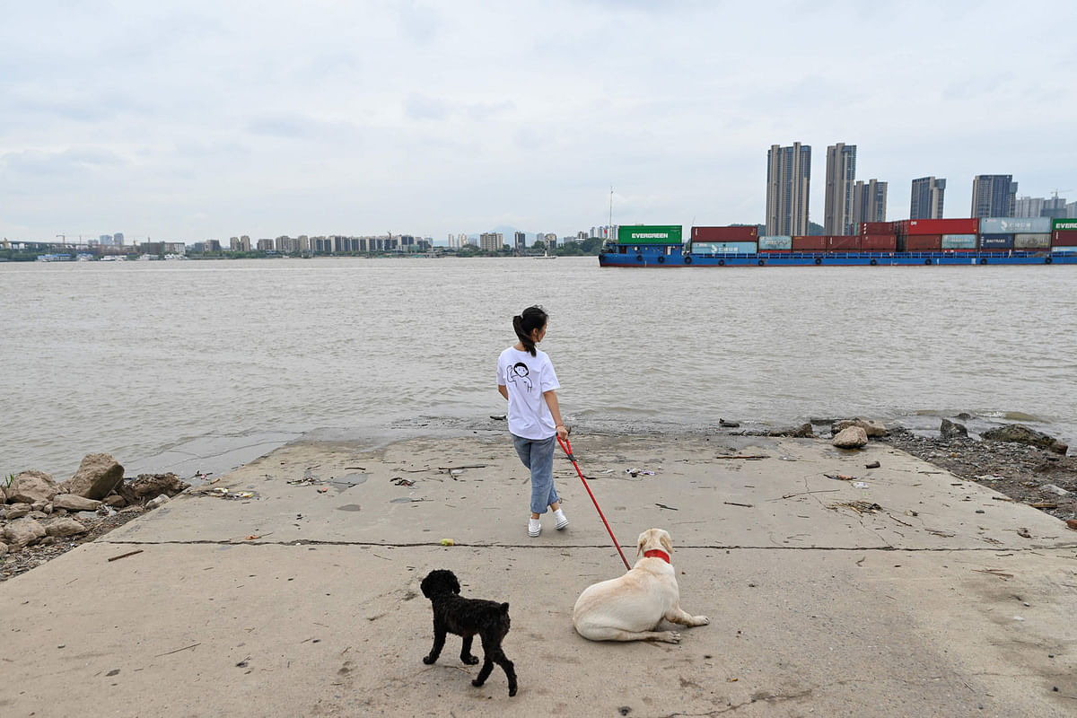 This picture taken on 7 November 2018 shows a woman with her dogs along the banks of the Yangtze River in Nanjing in China`s Jiangsu province. Photo: AFP