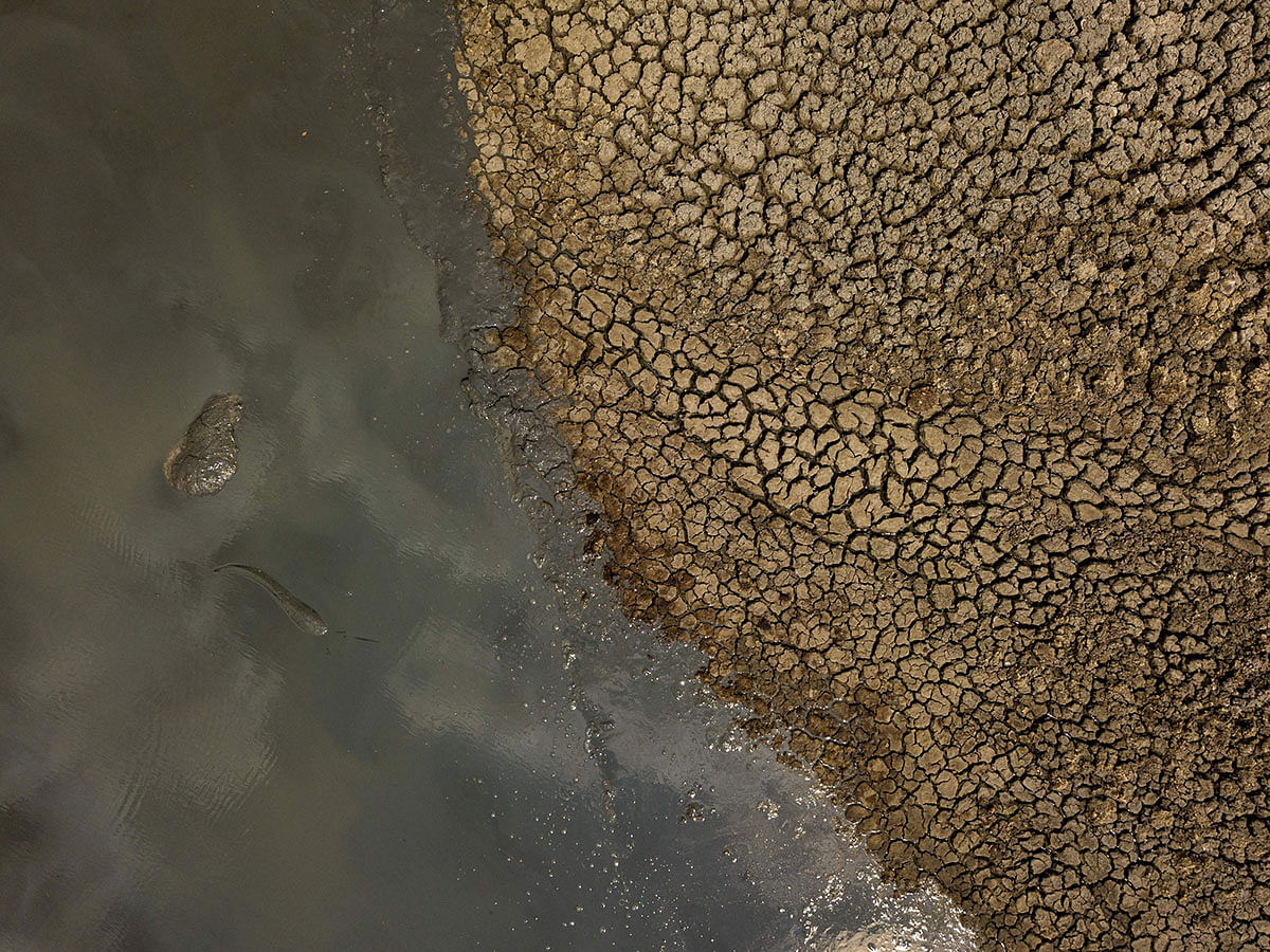 In this file photo taken on 12 November 2019, an aerial photograph shows fish flipping in the mud at a drying watering hole in the Hwange National Park, in Zimbabwe. Photo: AFP