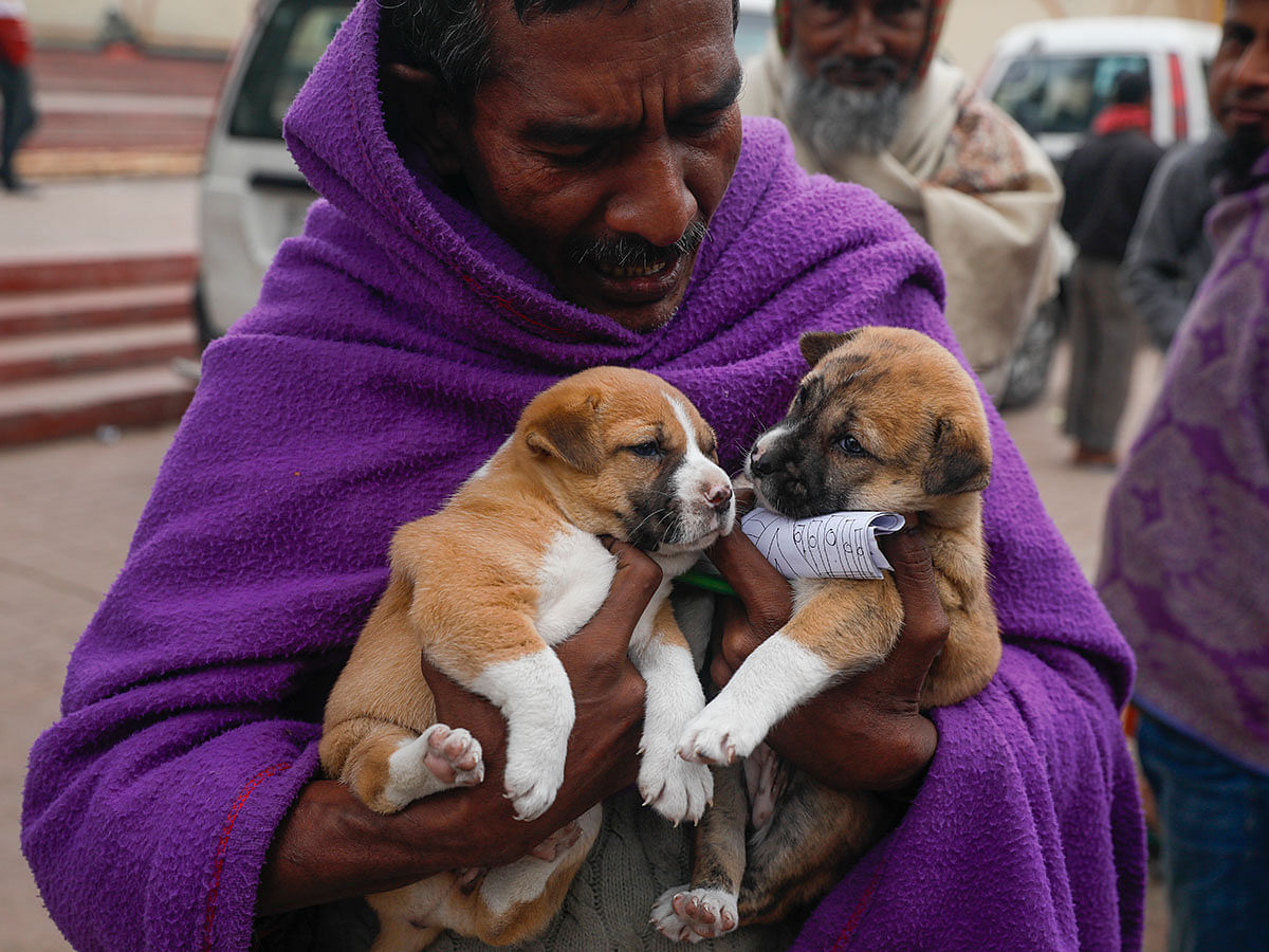 A man covered in a blanket tries to warm two puppies on a cold day at Mirpur Majar in Dhaka on 12 January 2020. Photo: Ashraful Alam