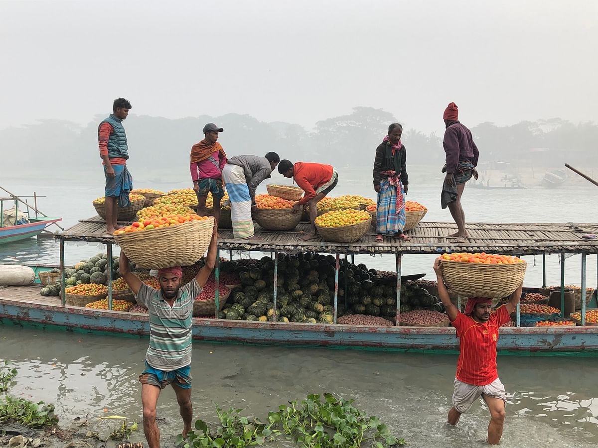 Workers unload tomatoes from a boat at Bormi Kheya Ghat, Sreepur in Gazipur on 15 January 2020. Photo: Sadik Mridha