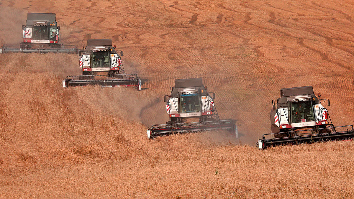 Combines harvest wheat in a field owned by the `Siberia` farming company outside the village of Ogur in Krasnoyarsk Region, Russia on 8 September 2019. Reuters File Photo