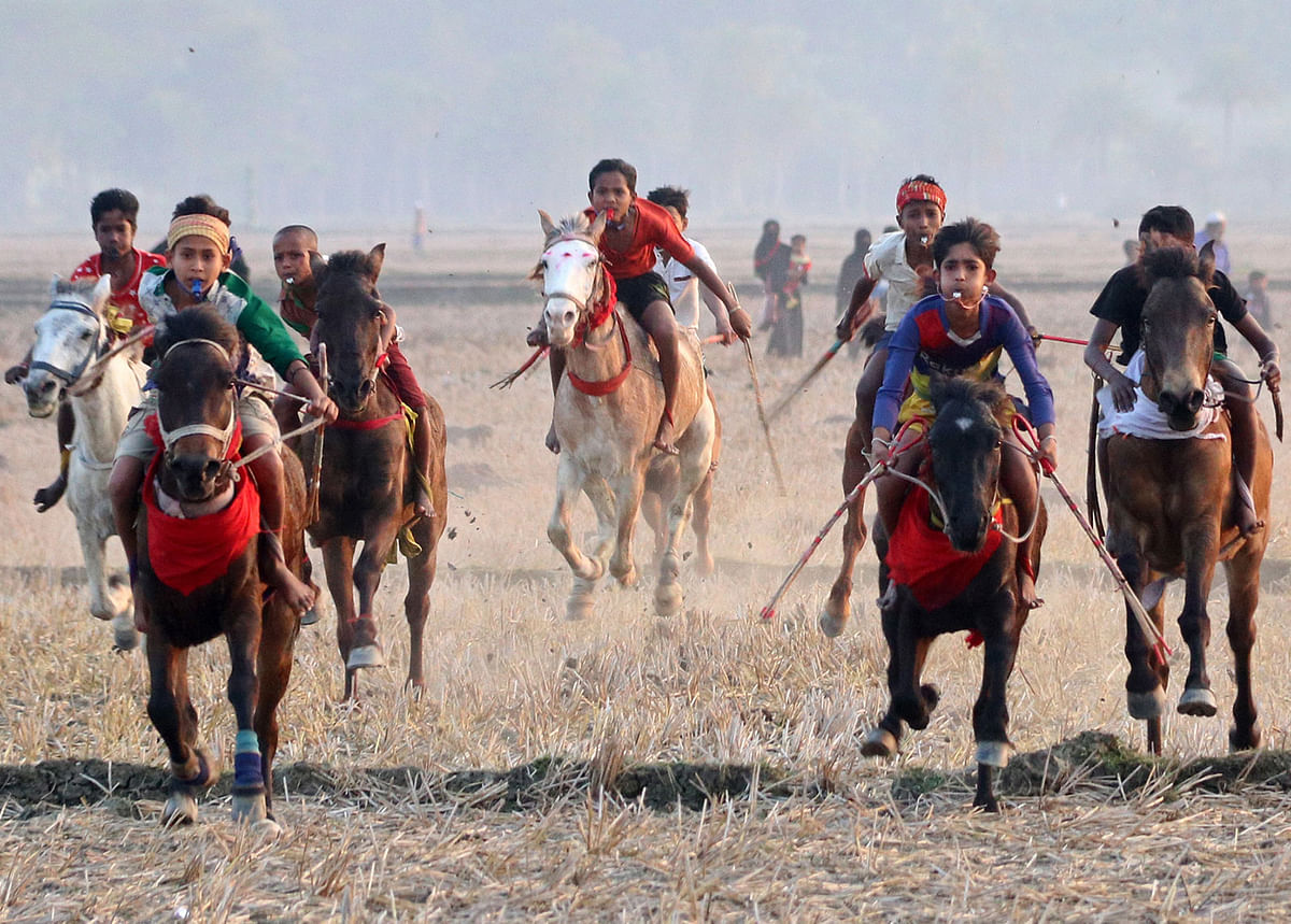 A traditional horseracing competition in Rajapur area, Jashore, on 18 January 2020. Photo: Ehsan Ud Doula