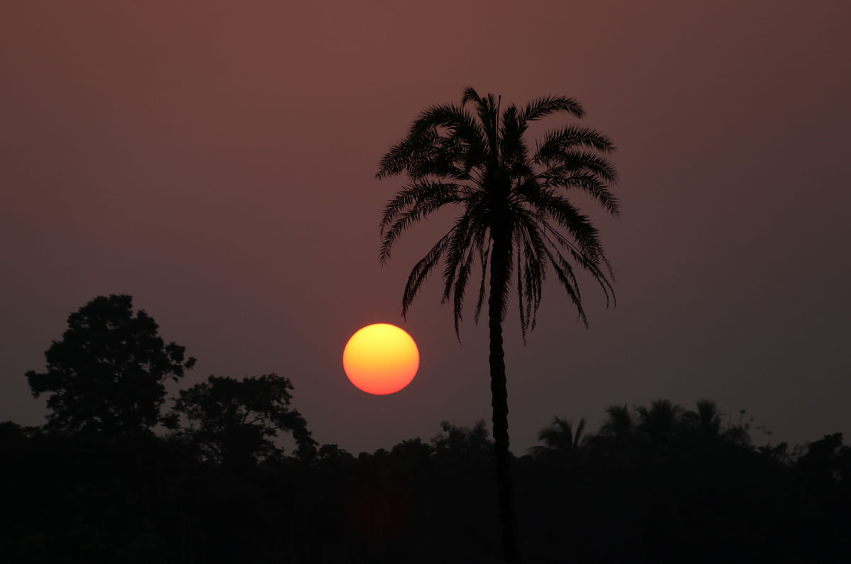 Sunset at Monohorpur, Jashore on 19 January 2020. Photo: Ehsan-Ud-Daula