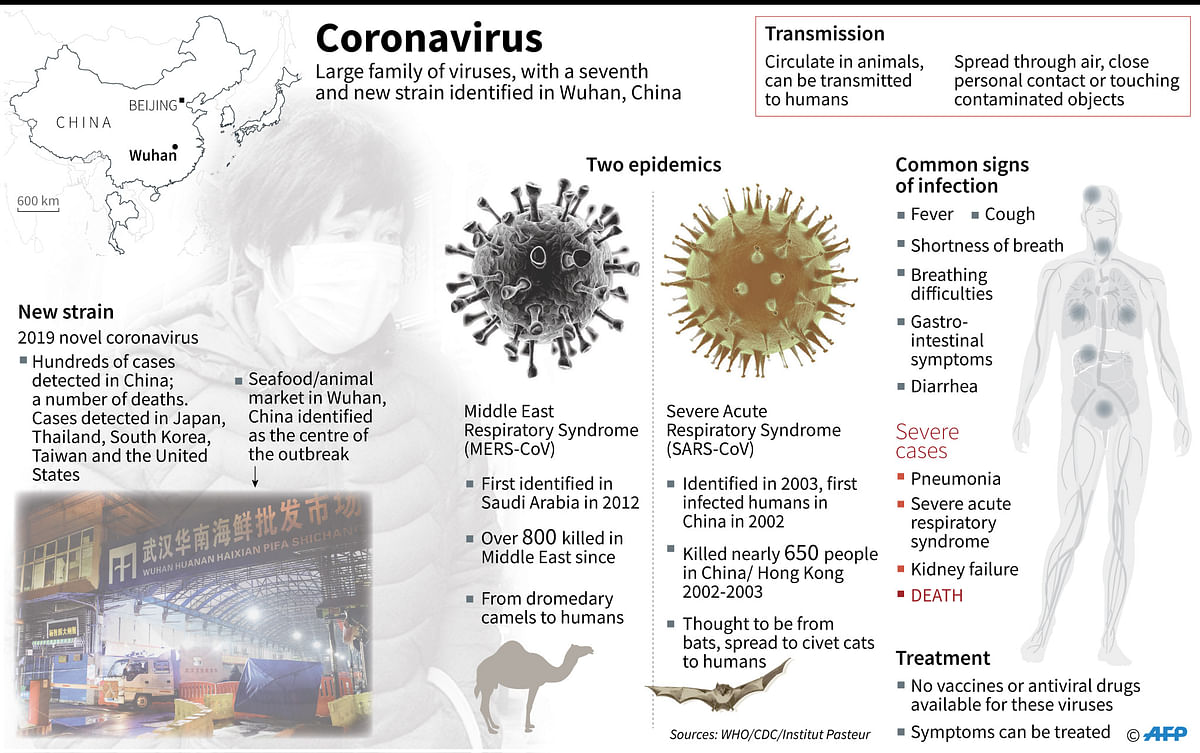 Factfile on the coronavirus family, which circulate in animals and can be transmitted to humans. A new strain of this virus has been identified in Wuhan, China. Photo: AFP