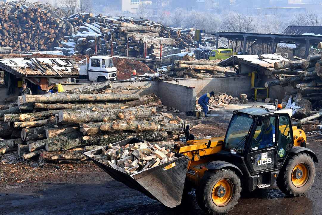 Workers carry tree trunk and wood in a privately owned lumber yard in outskirts of Sarajevo, on 14 January 2020. Photo: AFP