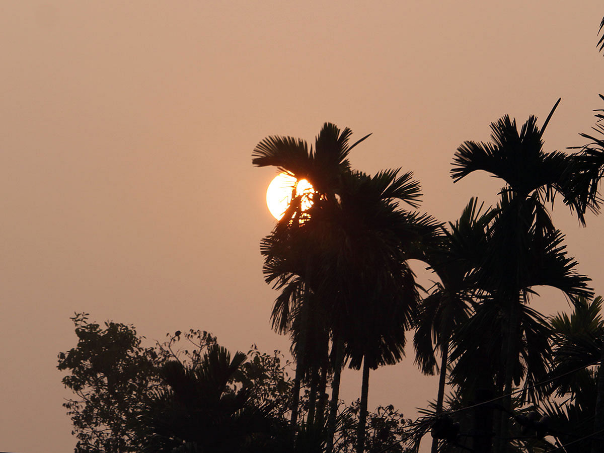 Sunrise at Alia Madrasa road, Bhola on 25 Janurary 2020. Photo: Neyamatullah
