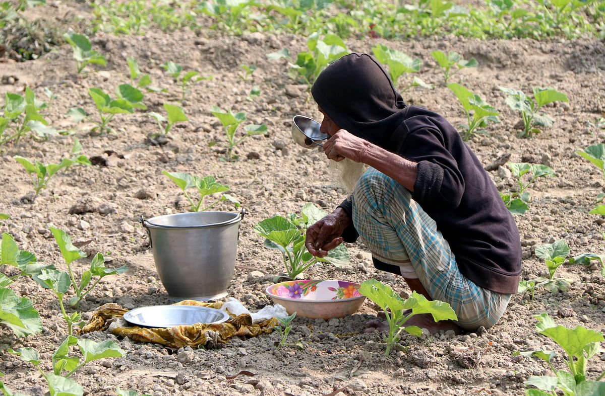 A worker drinks water during work at a vegetable bed in Chupinagar, Shajahanpur, Bogura on 25 January 2020. Photo: Soel Rana