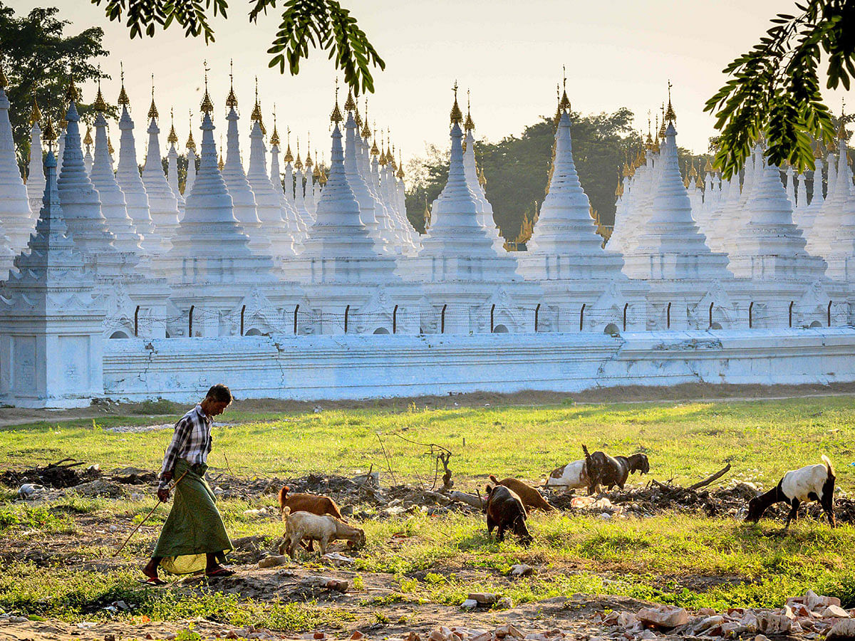 This photograph taken on 14 January 2020 shows a man walking with his goats past the Sandamuni Pagoda in Mandalay. Photo: AFP
