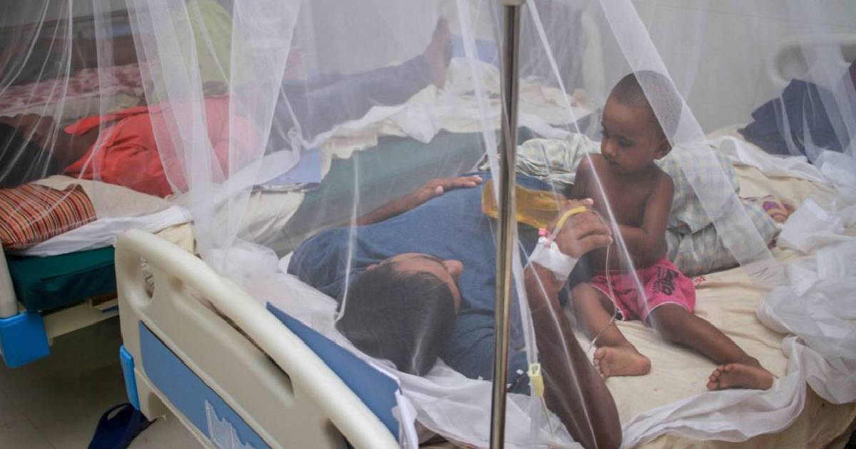 Dengue patients undergo treatment at a Dhaka hospital. UNB File Photo