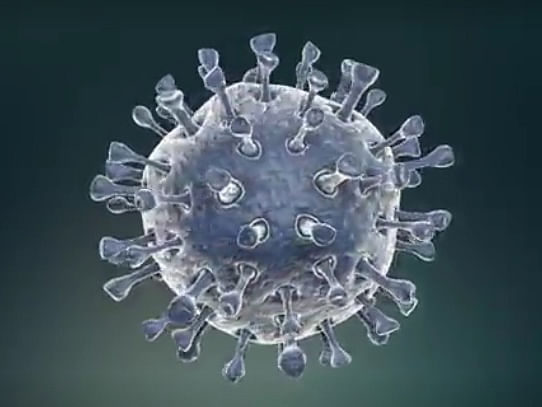 Coronavirus. Photo: Reuters screen-grab