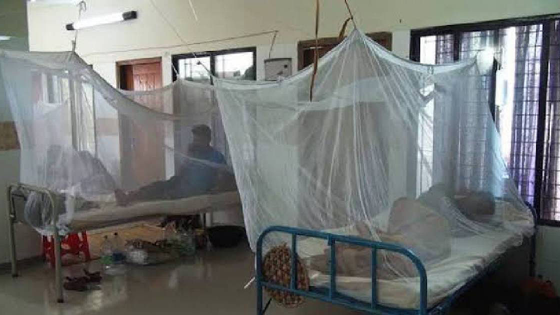 Dengue patients undergo at a Dhaka hospital. UNB File Photo