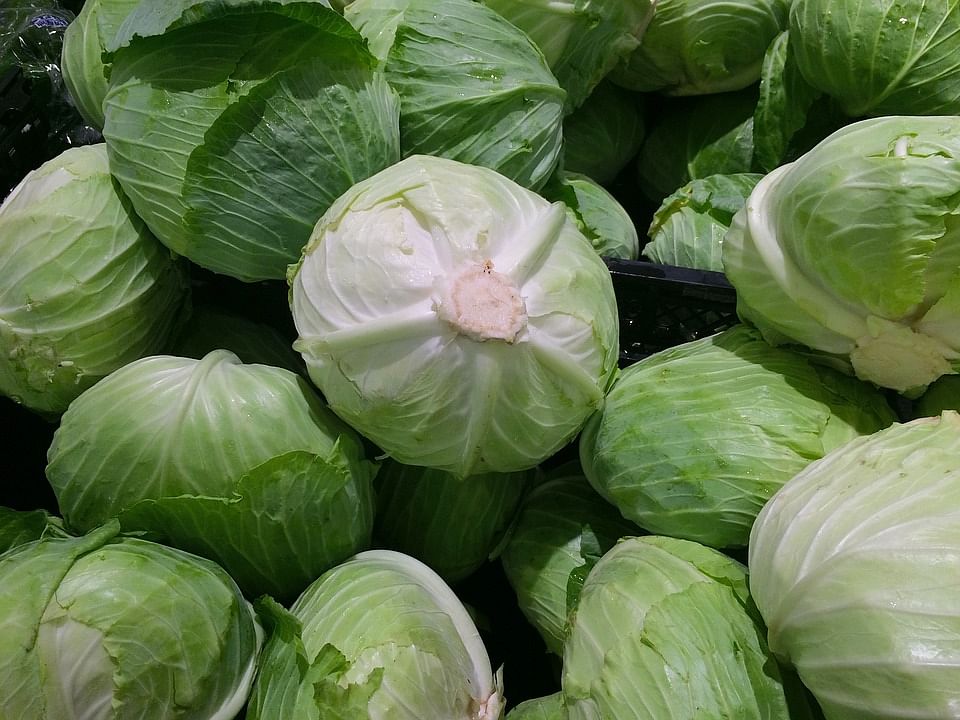 Cabbages. Photo: Pixabay