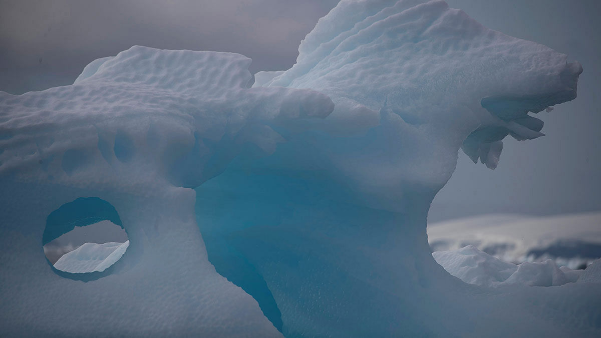 An iceberg floats near Fournier Bay, Antarctica, on 3 February 2020. Photo: Reuters
