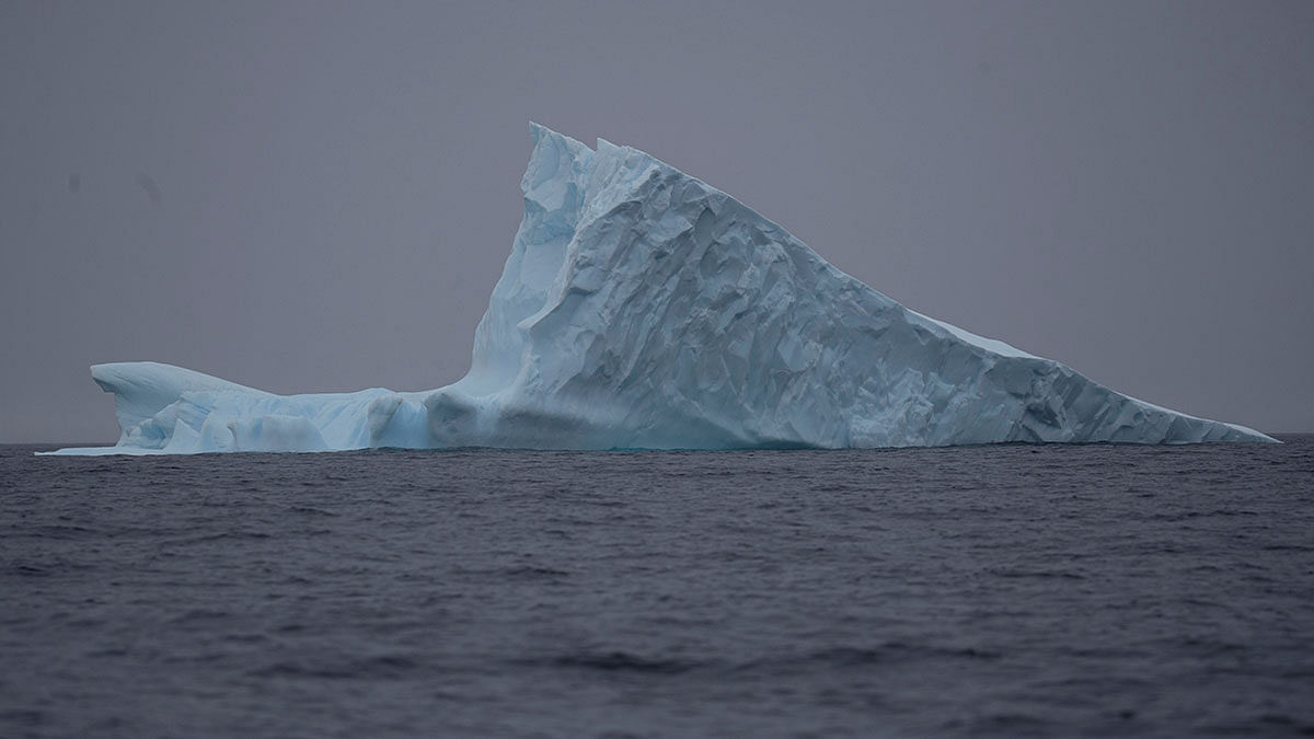 An iceberg floats near Two Hummock Island, Antarctica, on 2 February 2020. Photo: Reuters