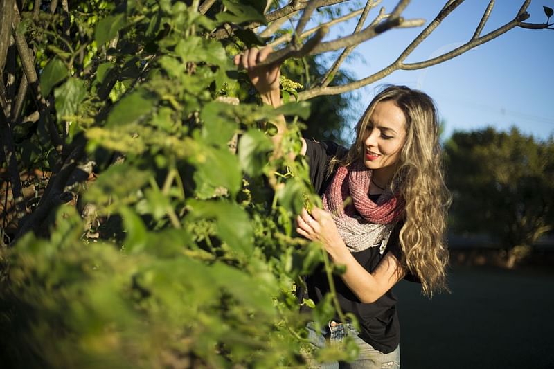 Living near green spaces may delay menopause, researchers have found. Photo: Pixabay