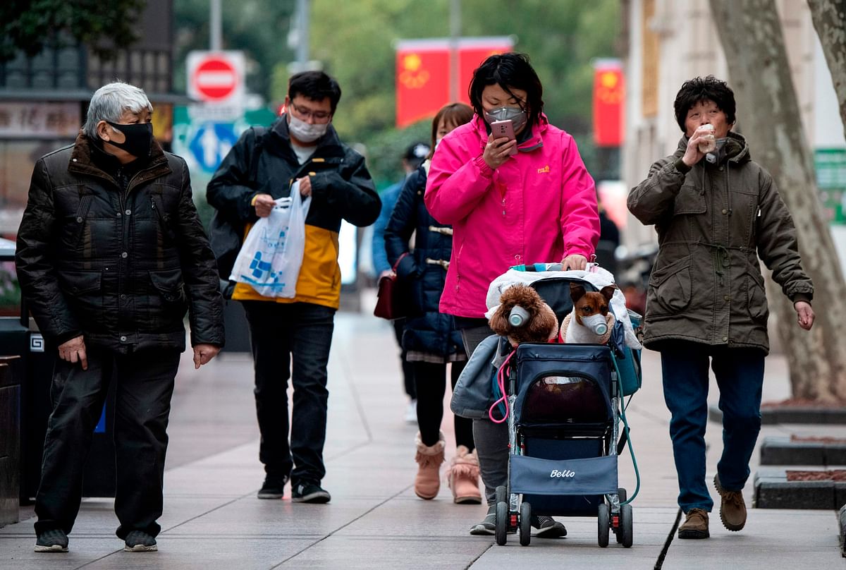 A woman wearing a protective facemask pushes a stroller with two dogs wearing masks along a street in Shanghai on 19 February. Photo: AFP