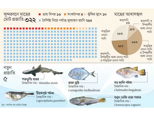 Five new fish species have been found in Sundarbans, Bangladesh.