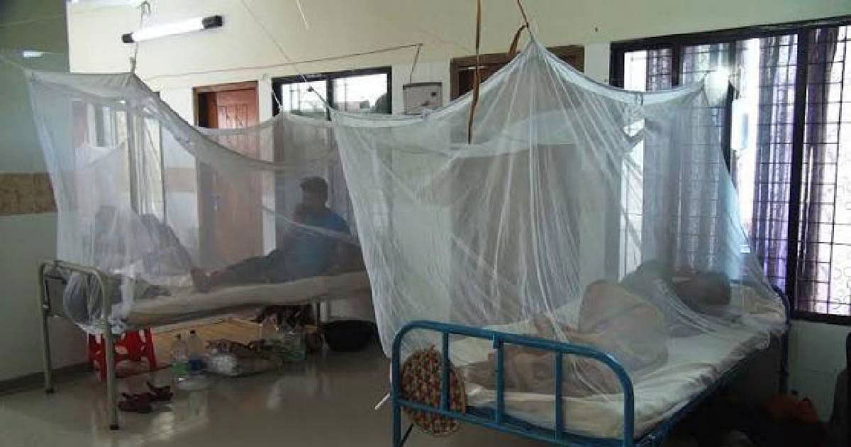 Dengue patients undergo treatment at a hospital in Dhaka. UNB File Photo