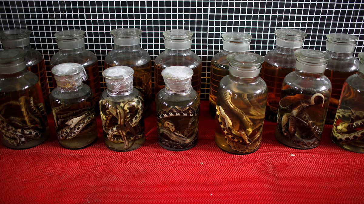 Dead snakes are preserved in jars at a snake farm in Zisiqiao village, Zhejiang province, China 22 February 2013. Photo: AFP