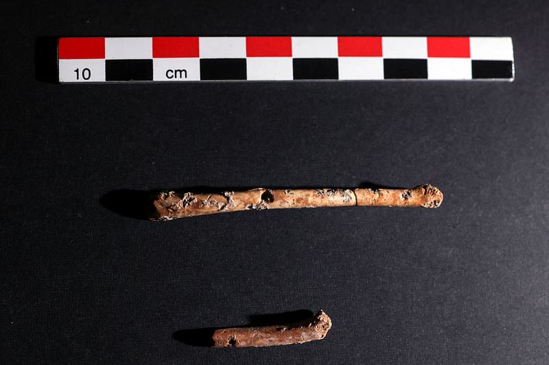 Prehistoric Bird-wing Flutes Music To The Ears Of Archaeologists In ...