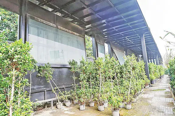 A passenger shelter constructed at millions of taka in the capital's Nikunja area. 