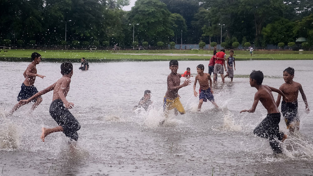 Rejoice in the Rain | Prothom Alo